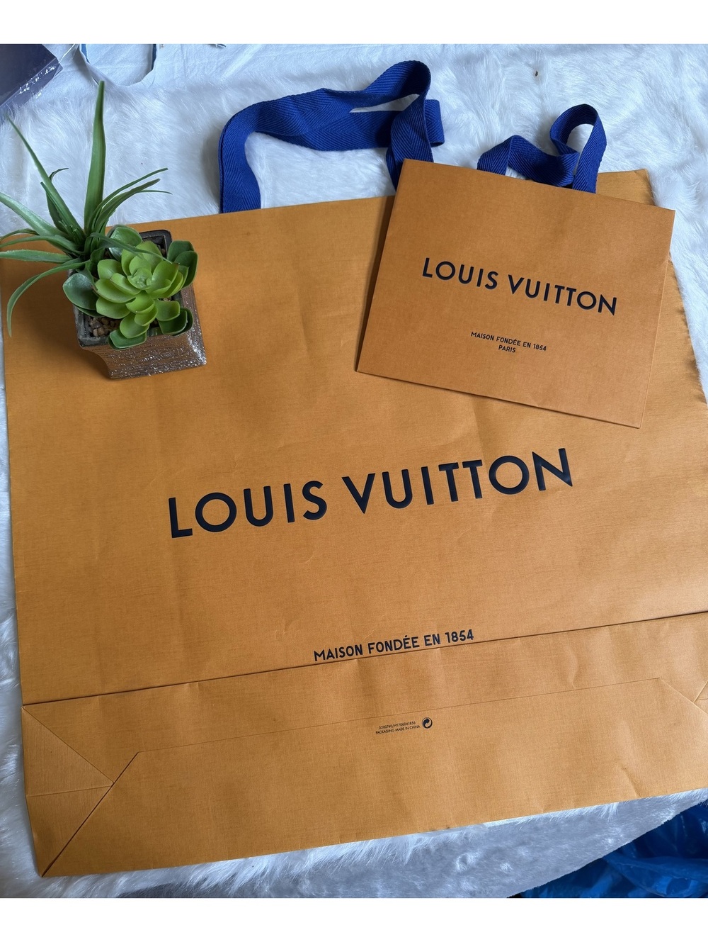 Louis Vuitton Large and Small Paper Shopping Bags Set
